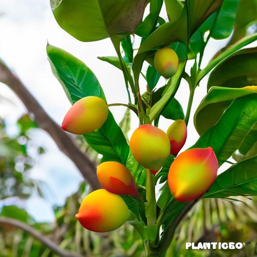 Plantas En Peligro De Extincion En Puerto Rico